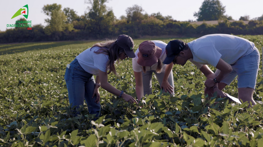 Film pédagogique pour la chambre d'agriculture du gers par notre agence de production à Toulouse